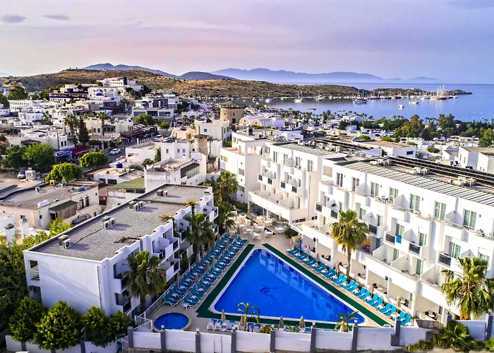 Club Shark Hotel